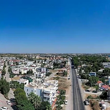 Safak Alkolsuz